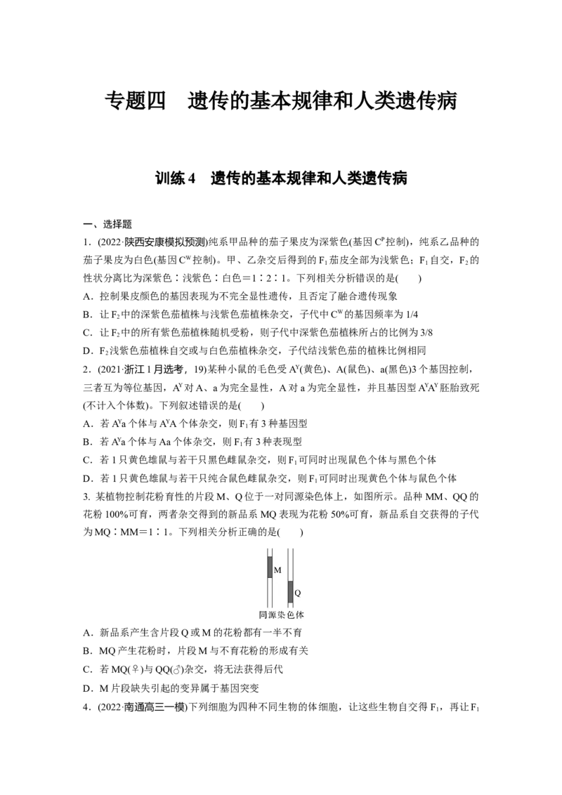 二轮专题强化练　训练4　遗传的基本规律和人类遗传病_通用版（老高考）复习资料_2023年复习资料_二轮复习_2023年高考生物二轮复习讲义+课件（全国版）_学生版_二轮专题强化练