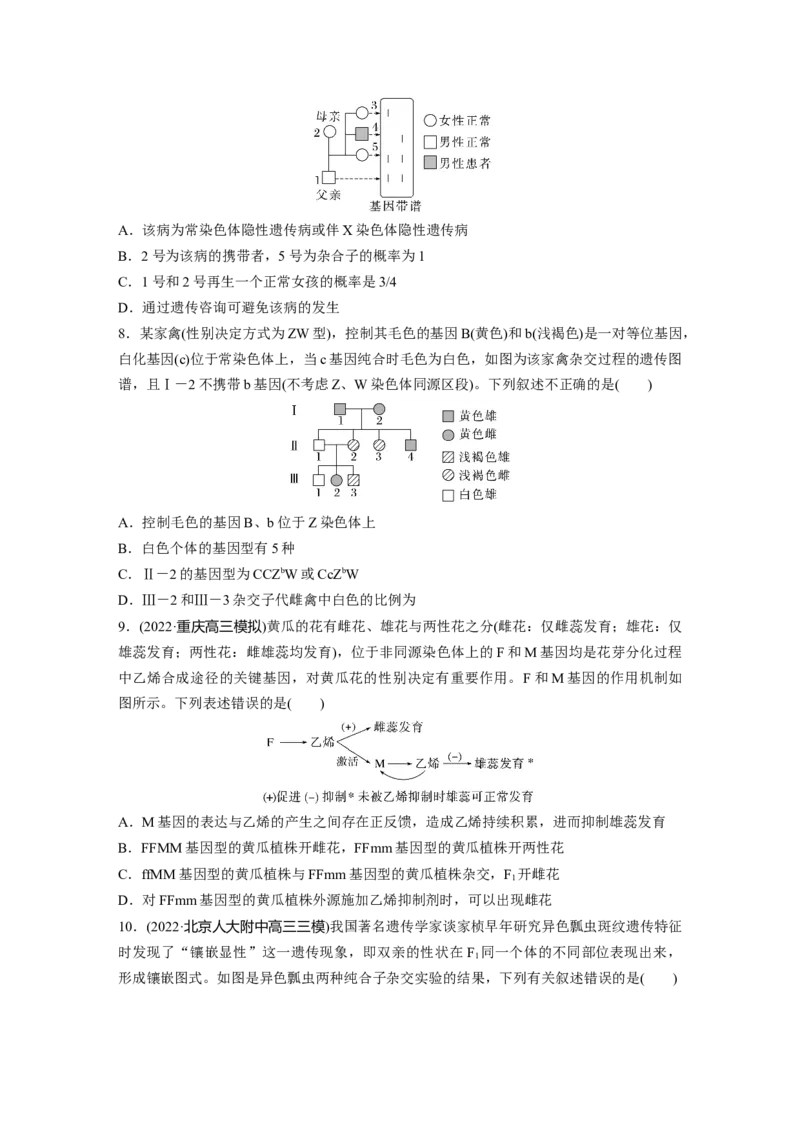 二轮专题强化练　训练4　遗传的基本规律和人类遗传病_通用版（老高考）复习资料_2023年复习资料_二轮复习_2023年高考生物二轮复习讲义+课件（全国版）_学生版_二轮专题强化练
