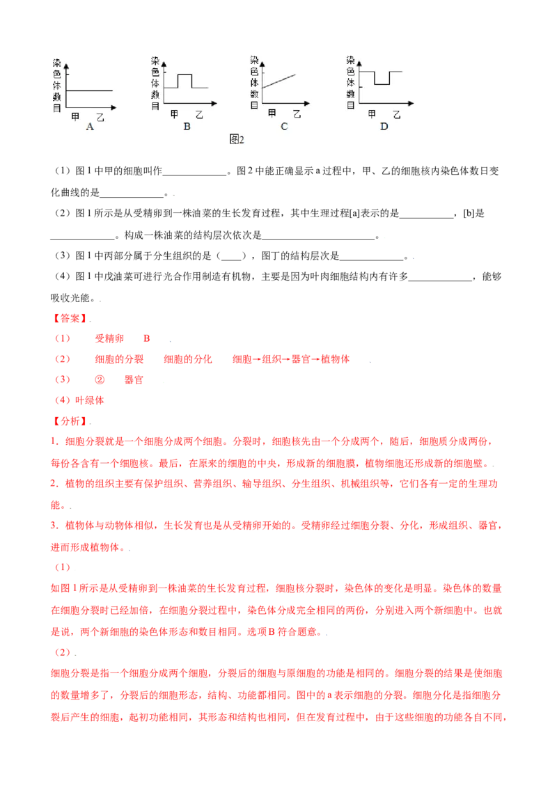 期末测试卷02-（人教版）（解析版）_初中全科电子版试卷练习试题_生物_生物人教版7上练习&mdash;24新版已更新_人教生物7年级上期末试卷11份