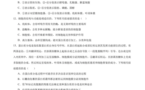 单元检测卷02细胞的结构、功能和物质运输（原卷版）_2025年新高考资料_一轮复习_2025年高考生物一轮复习考点通关卷（新高考通用）