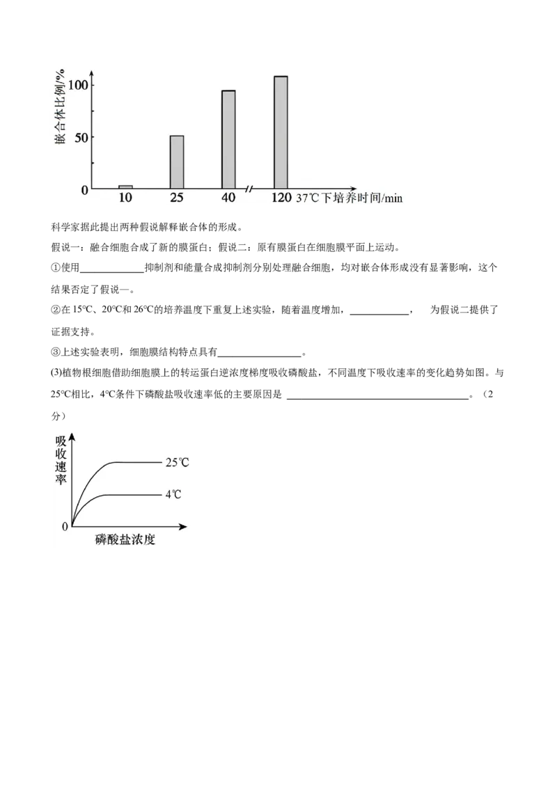单元检测卷02细胞的结构、功能和物质运输（原卷版）_2025年新高考资料_一轮复习_2025年高考生物一轮复习考点通关卷（新高考通用）