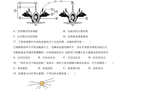 期末冲刺卷（一）-（人教版）（原卷版）_初中全科电子版试卷练习试题_生物_生物人教版7上练习&mdash;24新版已更新_人教生物7年级上期末试卷11份