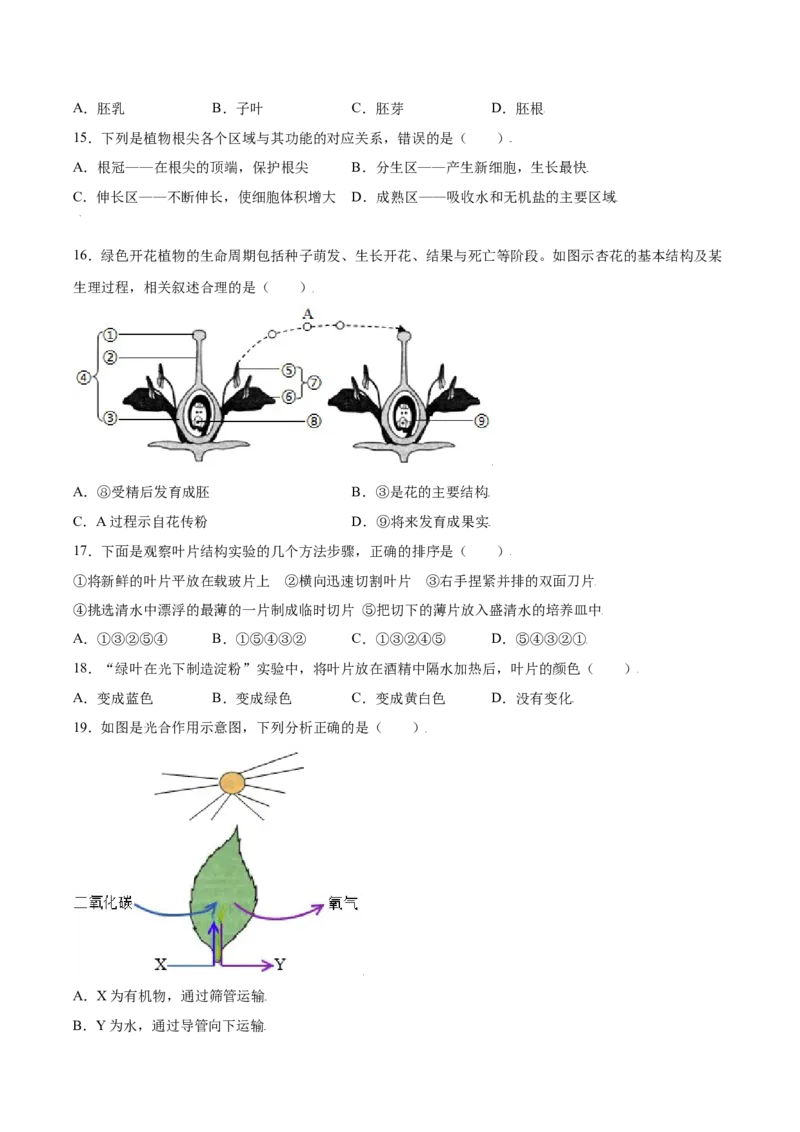 期末冲刺卷（一）-（人教版）（原卷版）_初中全科电子版试卷练习试题_生物_生物人教版7上练习&mdash;24新版已更新_人教生物7年级上期末试卷11份