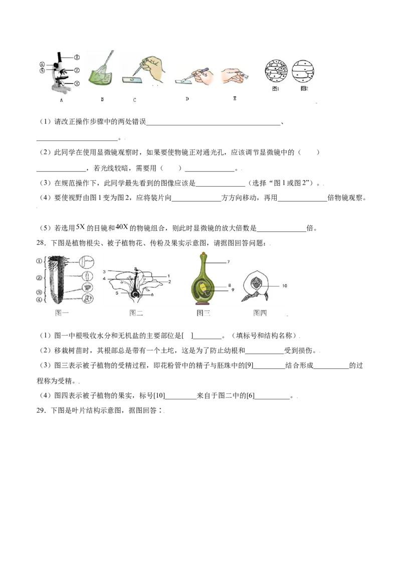 期末冲刺卷（一）-（人教版）（原卷版）_初中全科电子版试卷练习试题_生物_生物人教版7上练习&mdash;24新版已更新_人教生物7年级上期末试卷11份