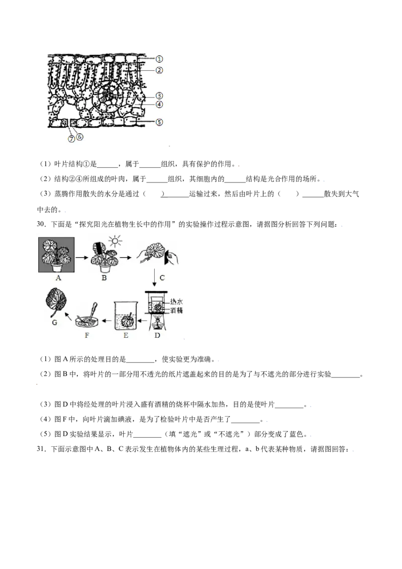 期末冲刺卷（一）-（人教版）（原卷版）_初中全科电子版试卷练习试题_生物_生物人教版7上练习&mdash;24新版已更新_人教生物7年级上期末试卷11份
