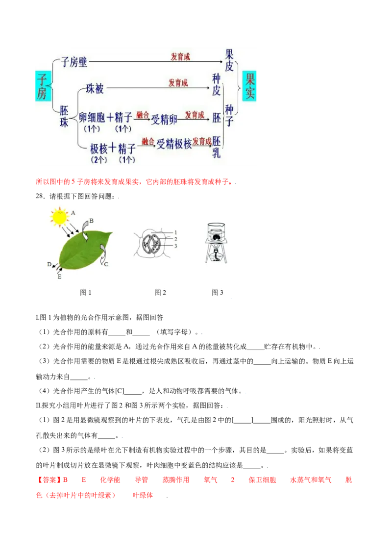 期末冲刺卷（二）-（人教版）（解析版）_初中全科电子版试卷练习试题_生物_生物人教版7上练习&mdash;24新版已更新_人教生物7年级上期末试卷11份