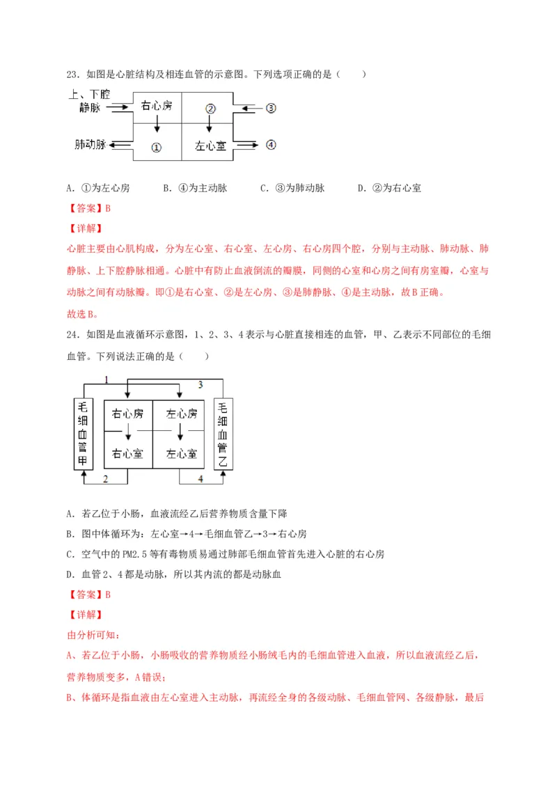 期中测试03-（解析版）_初中全科电子版试卷练习试题_生物_生物人教版7下练习_人教生物7年级下期中试卷07份