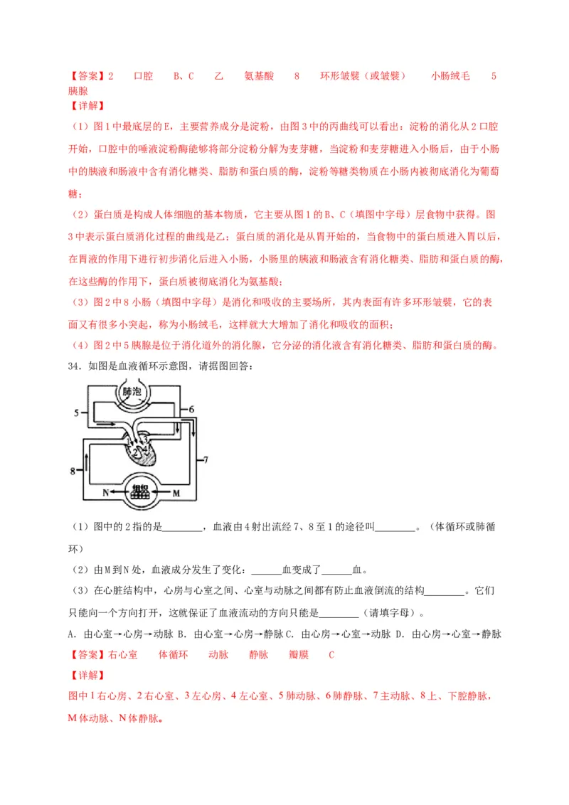 期中测试03-（解析版）_初中全科电子版试卷练习试题_生物_生物人教版7下练习_人教生物7年级下期中试卷07份
