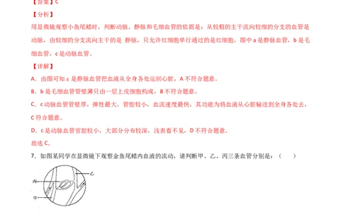 探究题05观察小鱼尾鳍内血液的流动-七年级生物下册教材实验探究必刷题（人教版）（解析版）_初中全科电子版试卷练习试题_生物_生物人教版7下练习