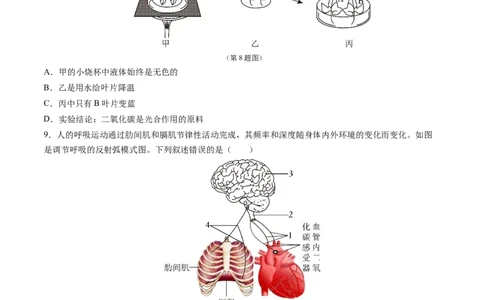 生物（济南卷）（考试版A4）_初中全科电子版试卷练习试题_生物_2024中考模拟题生物(1)_三模（37套）_生物（济南卷）