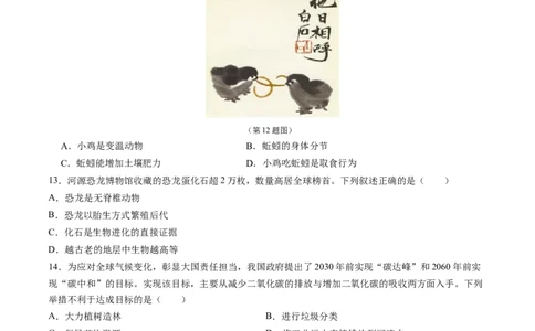 生物（济南卷）（考试版A4）_初中全科电子版试卷练习试题_生物_2024中考模拟题生物(1)_三模（37套）_生物（济南卷）