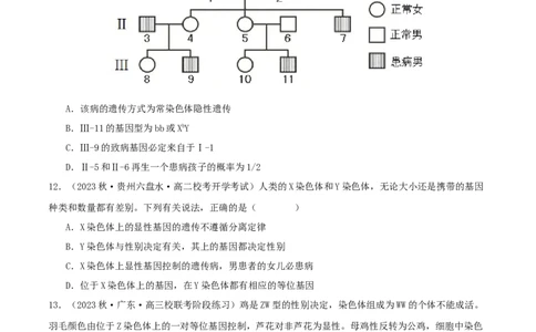 专题综合练04遗传规律及其应用(原卷版)_新高考复习资料_2024年新高考复习资料_一轮复习资料_完备战2024年高考生物一轮复习考点帮（新高考）_必修2