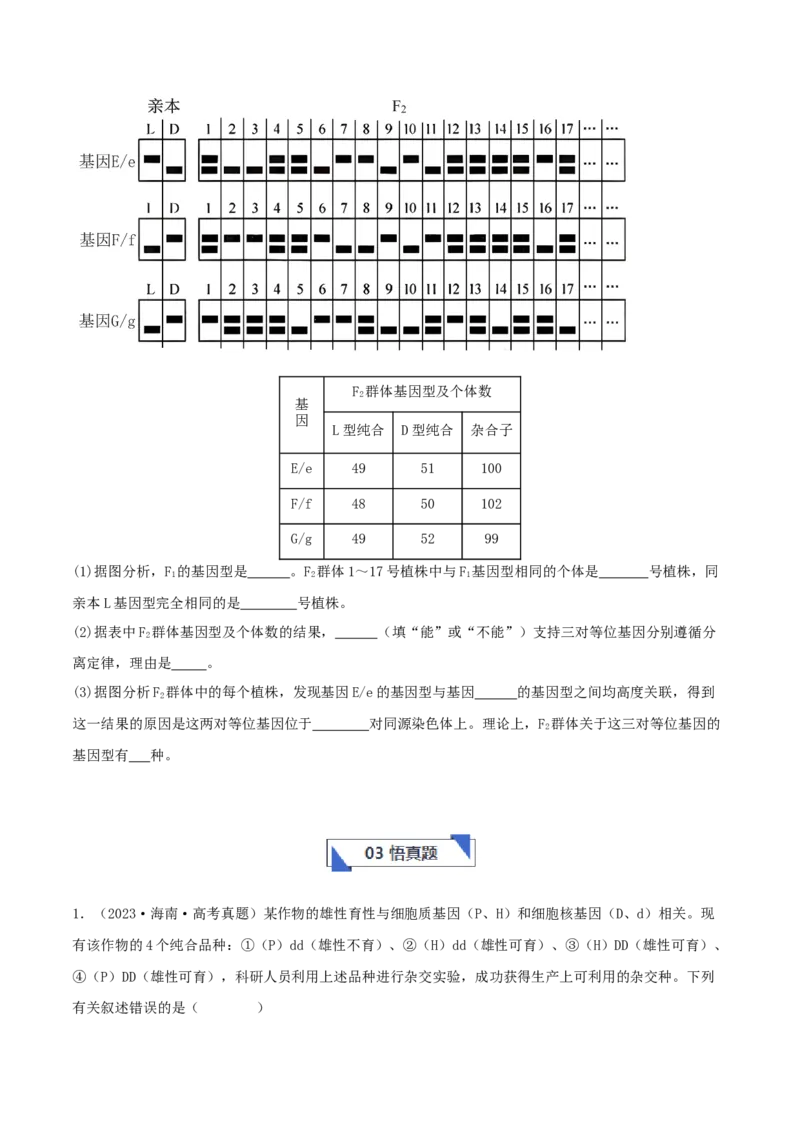 专题综合练04遗传规律及其应用(原卷版)_新高考复习资料_2024年新高考复习资料_一轮复习资料_完备战2024年高考生物一轮复习考点帮（新高考）_必修2