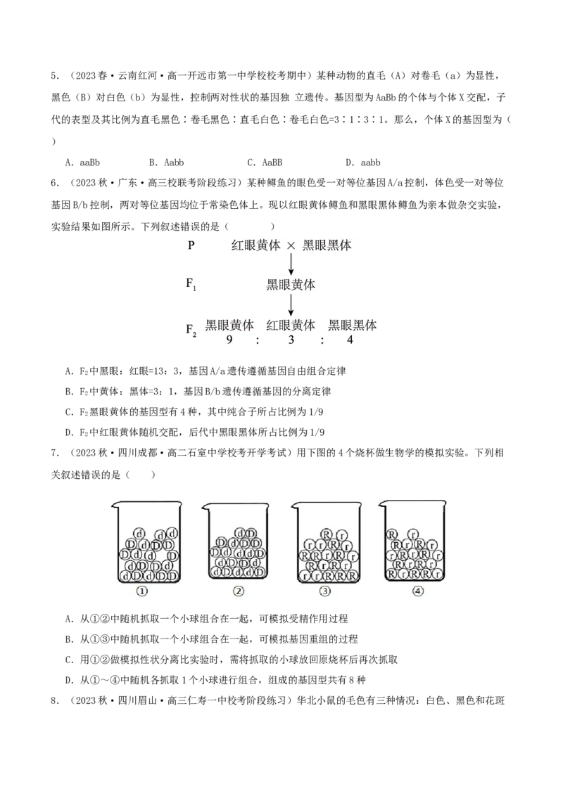 专题综合练04遗传规律及其应用(原卷版)_新高考复习资料_2024年新高考复习资料_一轮复习资料_完备战2024年高考生物一轮复习考点帮（新高考）_必修2
