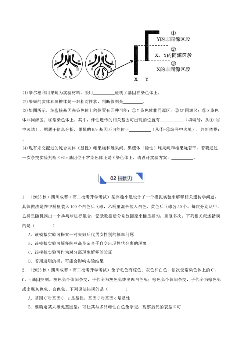 专题综合练04遗传规律及其应用(原卷版)_新高考复习资料_2024年新高考复习资料_一轮复习资料_完备战2024年高考生物一轮复习考点帮（新高考）_必修2