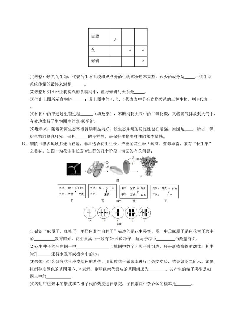 生物（南通卷）（考试版A4）_初中全科电子版试卷练习试题_生物_2024中考模拟题生物(1)_三模（37套）_生物（南通卷）
