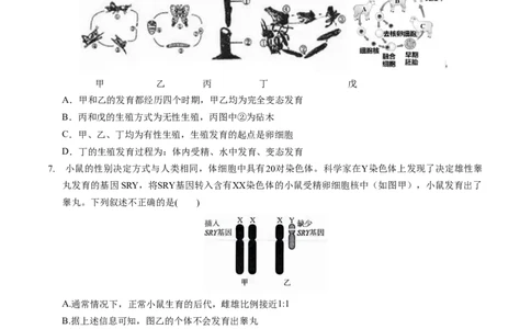 生物（湖北卷）（考试版A4）_初中全科电子版试卷练习试题_生物_2024中考模拟题生物(1)_一模_生物（湖北卷）-2024年中考第一次模拟考试