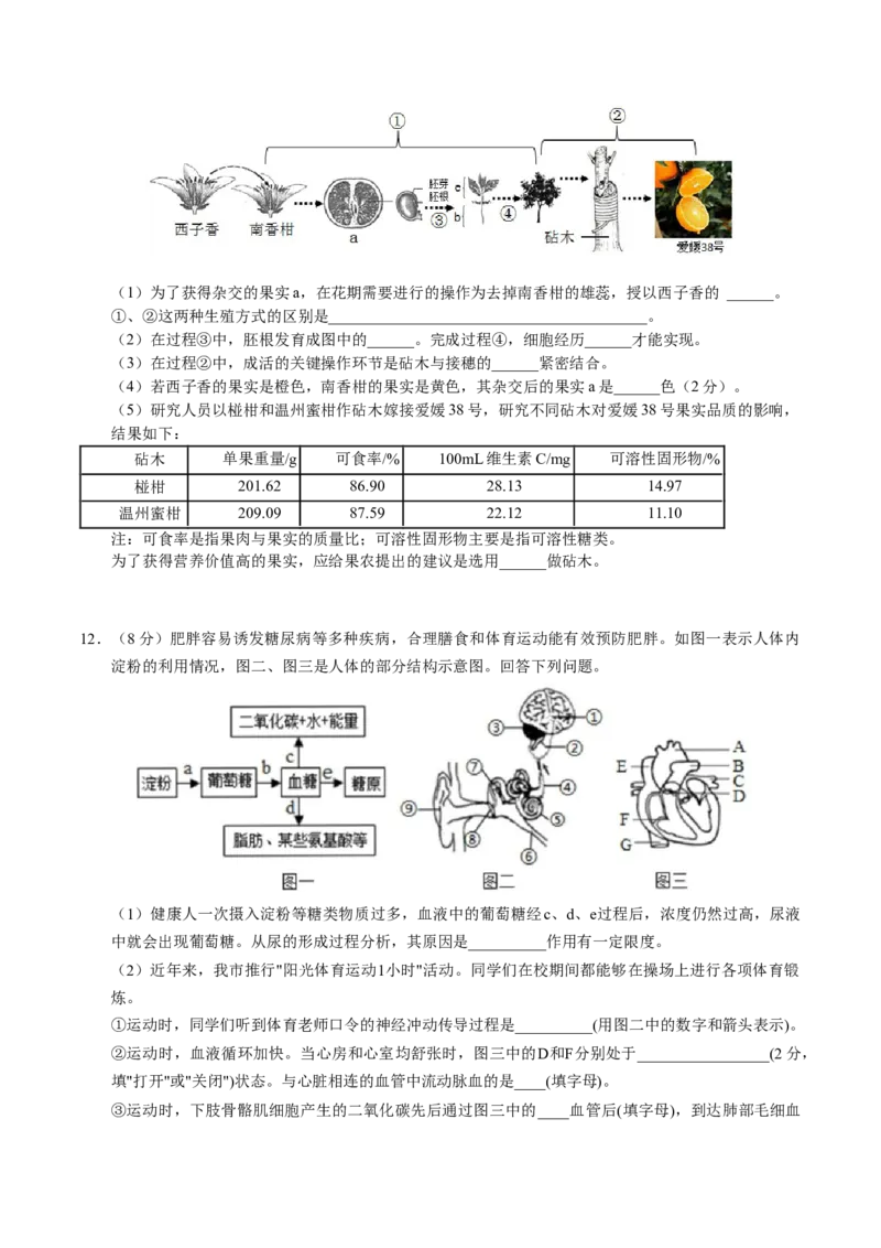 生物（湖北卷）（考试版A4）_初中全科电子版试卷练习试题_生物_2024中考模拟题生物(1)_一模_生物（湖北卷）-2024年中考第一次模拟考试