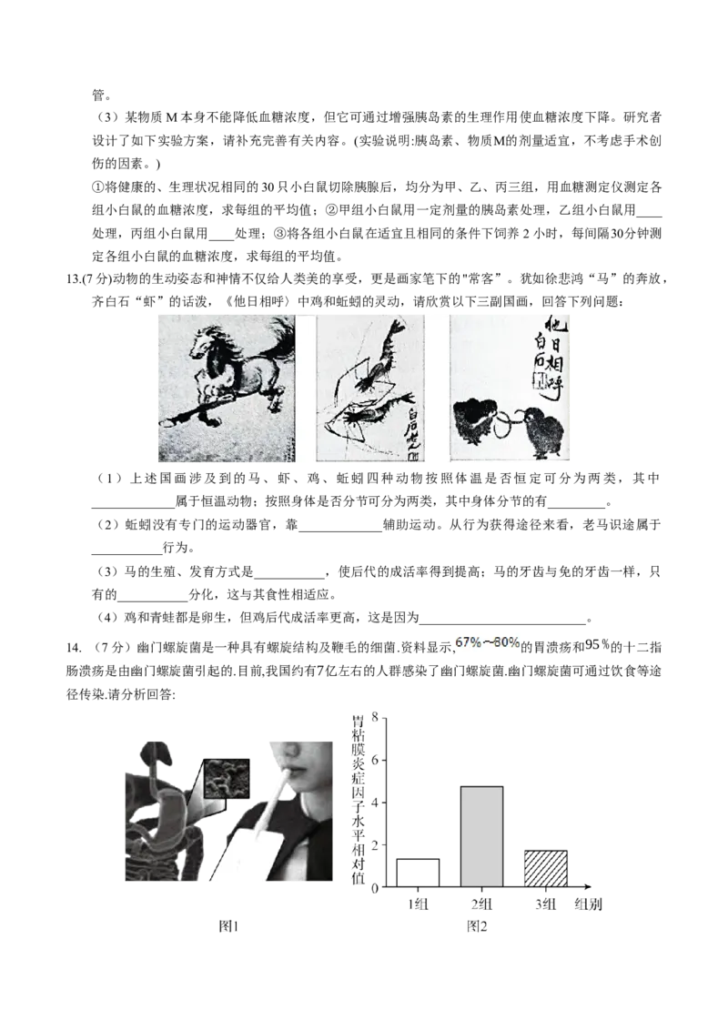 生物（湖北卷）（考试版A4）_初中全科电子版试卷练习试题_生物_2024中考模拟题生物(1)_一模_生物（湖北卷）-2024年中考第一次模拟考试