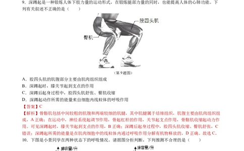 生物（吉林卷）（全解全析）_初中全科电子版试卷练习试题_生物_2024中考模拟题生物(1)_三模（37套）_生物（吉林卷）