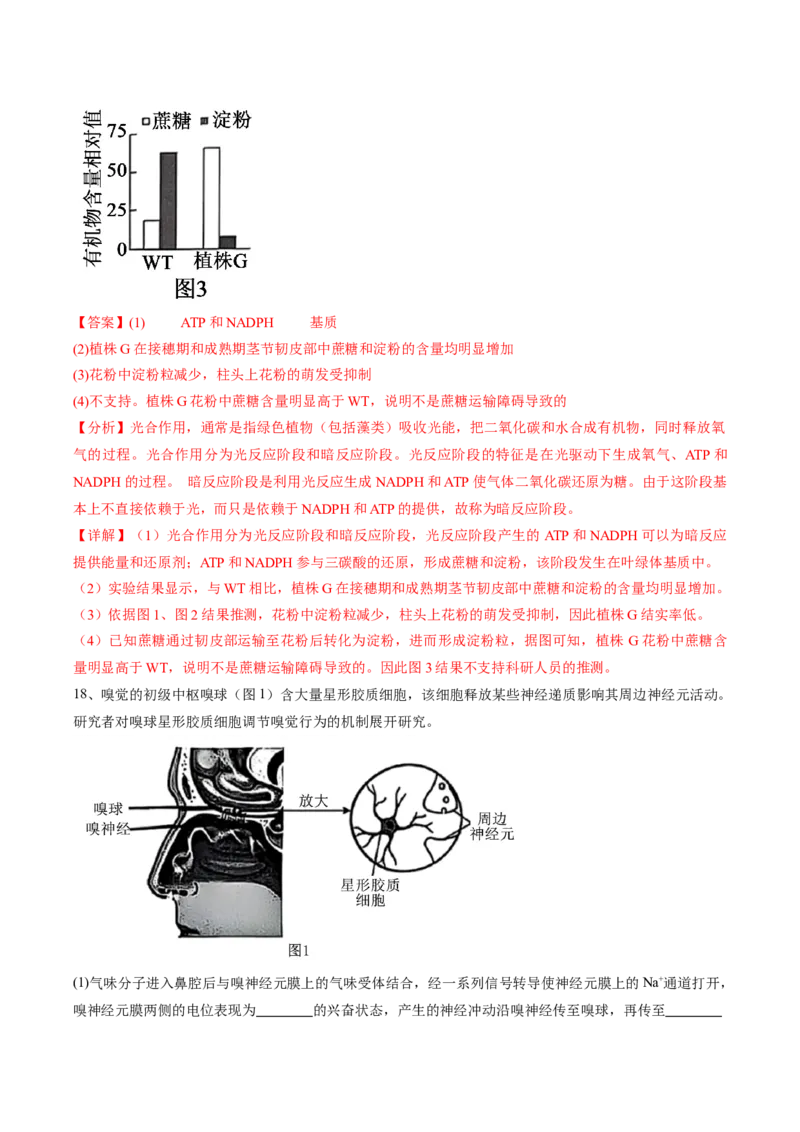 信息必刷卷01（北京专用）（解析版）_2025年新高考资料_2025考前信息卷_2025年高考生物考前信息必刷卷（北京专用）34427555