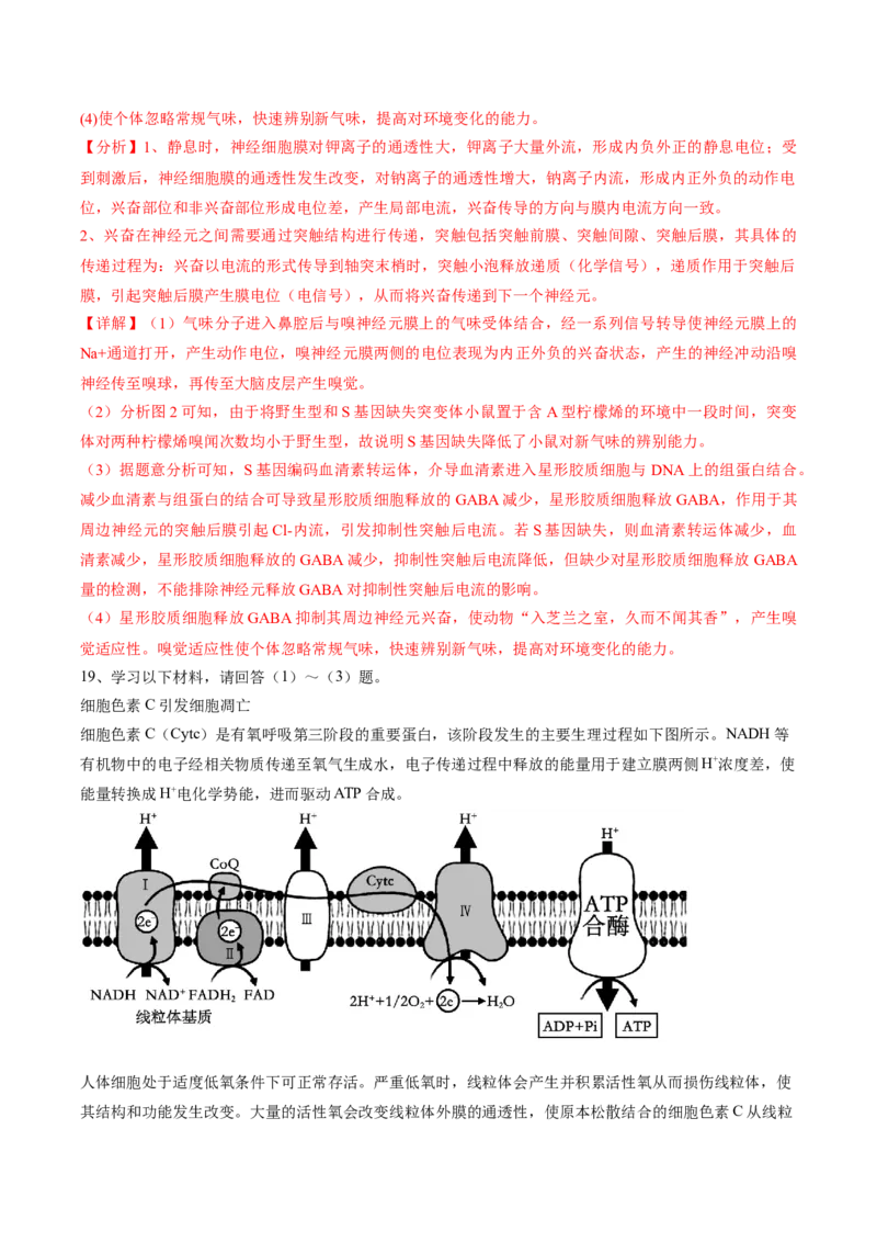 信息必刷卷01（北京专用）（解析版）_2025年新高考资料_2025考前信息卷_2025年高考生物考前信息必刷卷（北京专用）34427555