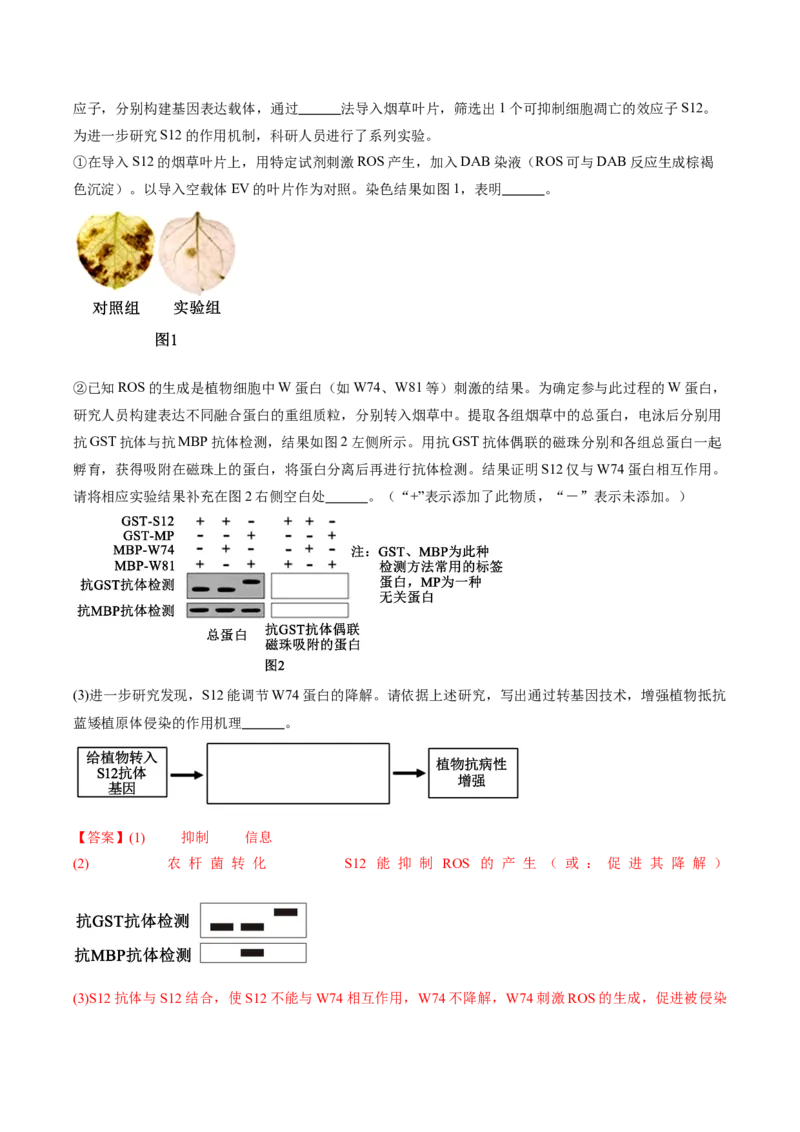 信息必刷卷01（北京专用）（解析版）_2025年新高考资料_2025考前信息卷_2025年高考生物考前信息必刷卷（北京专用）34427555
