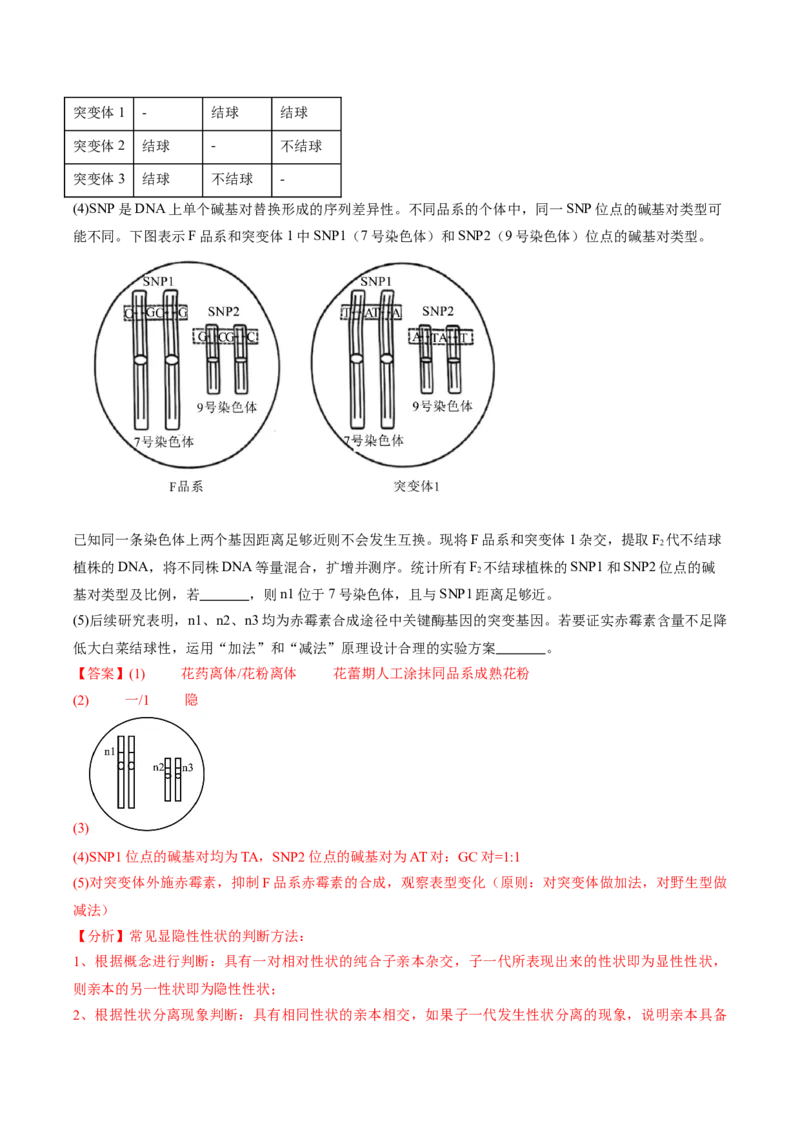 信息必刷卷01（北京专用）（解析版）_2025年新高考资料_2025考前信息卷_2025年高考生物考前信息必刷卷（北京专用）34427555