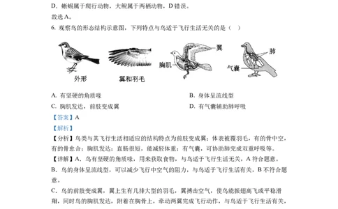 八年级上学期期末生物试题（解析版）_初中全科电子版试卷练习试题_生物_生物8上练习_人教生物8年级上期末试卷10份
