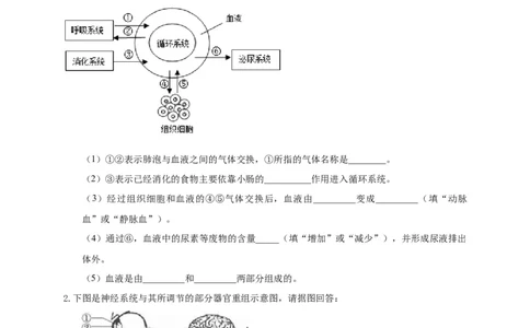 特训07图像分析题（20题）-（尖子生专用）（考试版）_初中全科电子版试卷练习试题_生物_生物人教版7下练习_人教生物7年级下专项练习16份