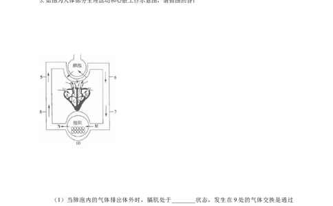 特训07图像分析题（20题）-（尖子生专用）（考试版）_初中全科电子版试卷练习试题_生物_生物人教版7下练习_人教生物7年级下专项练习16份