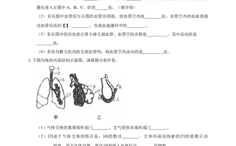 特训07图像分析题（20题）-（尖子生专用）（考试版）_初中全科电子版试卷练习试题_生物_生物人教版7下练习_人教生物7年级下专项练习16份