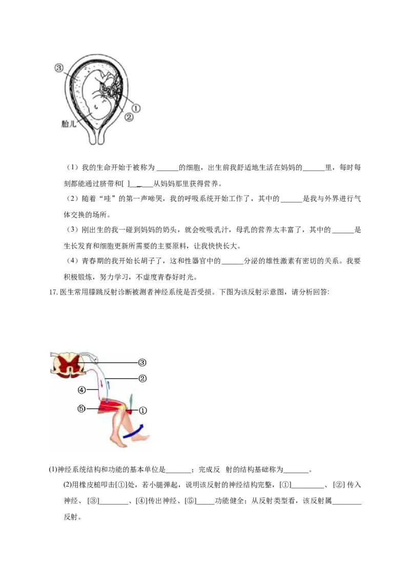 特训07图像分析题（20题）-（尖子生专用）（考试版）_初中全科电子版试卷练习试题_生物_生物人教版7下练习_人教生物7年级下专项练习16份