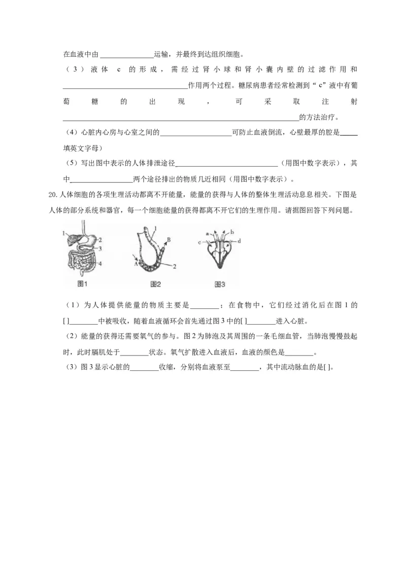 特训07图像分析题（20题）-（尖子生专用）（考试版）_初中全科电子版试卷练习试题_生物_生物人教版7下练习_人教生物7年级下专项练习16份