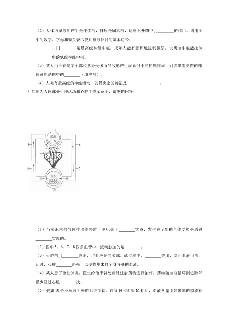 特训07图像分析题（20题）-（尖子生专用）（考试版）_初中全科电子版试卷练习试题_生物_生物人教版7下练习_人教生物7年级下专项练习16份