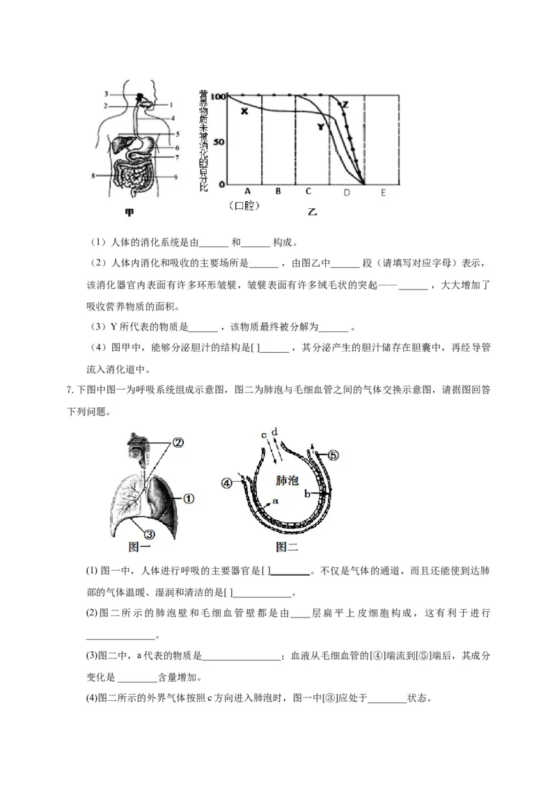 特训07图像分析题（20题）-（尖子生专用）（考试版）_初中全科电子版试卷练习试题_生物_生物人教版7下练习_人教生物7年级下专项练习16份
