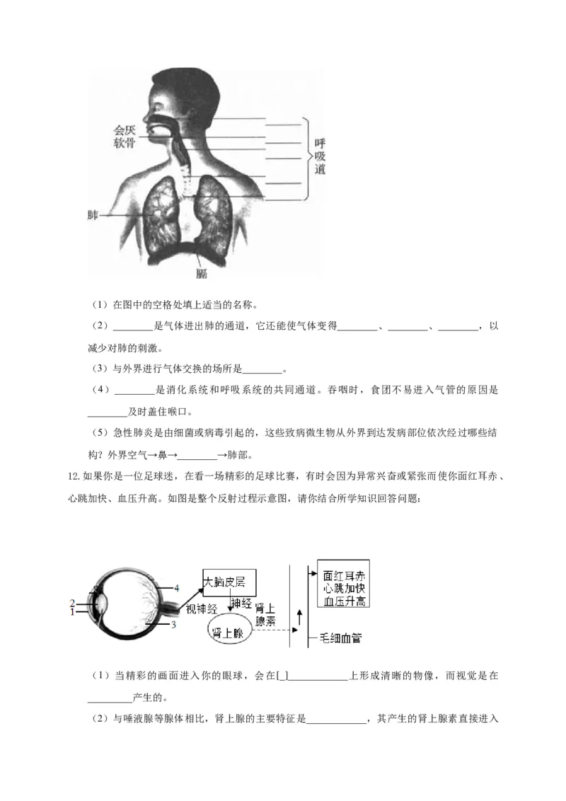 特训07图像分析题（20题）-（尖子生专用）（考试版）_初中全科电子版试卷练习试题_生物_生物人教版7下练习_人教生物7年级下专项练习16份