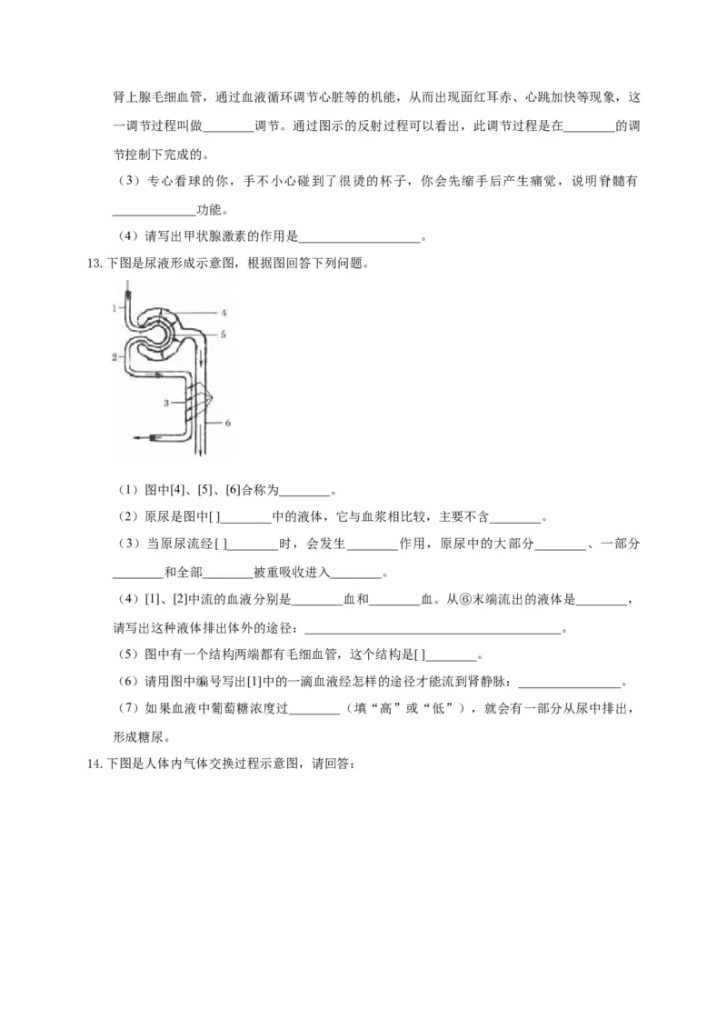 特训07图像分析题（20题）-（尖子生专用）（考试版）_初中全科电子版试卷练习试题_生物_生物人教版7下练习_人教生物7年级下专项练习16份