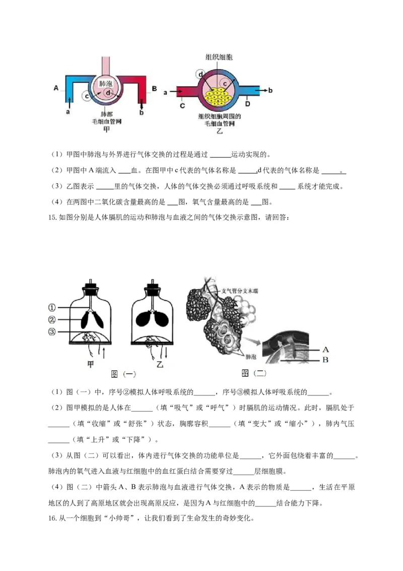 特训07图像分析题（20题）-（尖子生专用）（考试版）_初中全科电子版试卷练习试题_生物_生物人教版7下练习_人教生物7年级下专项练习16份