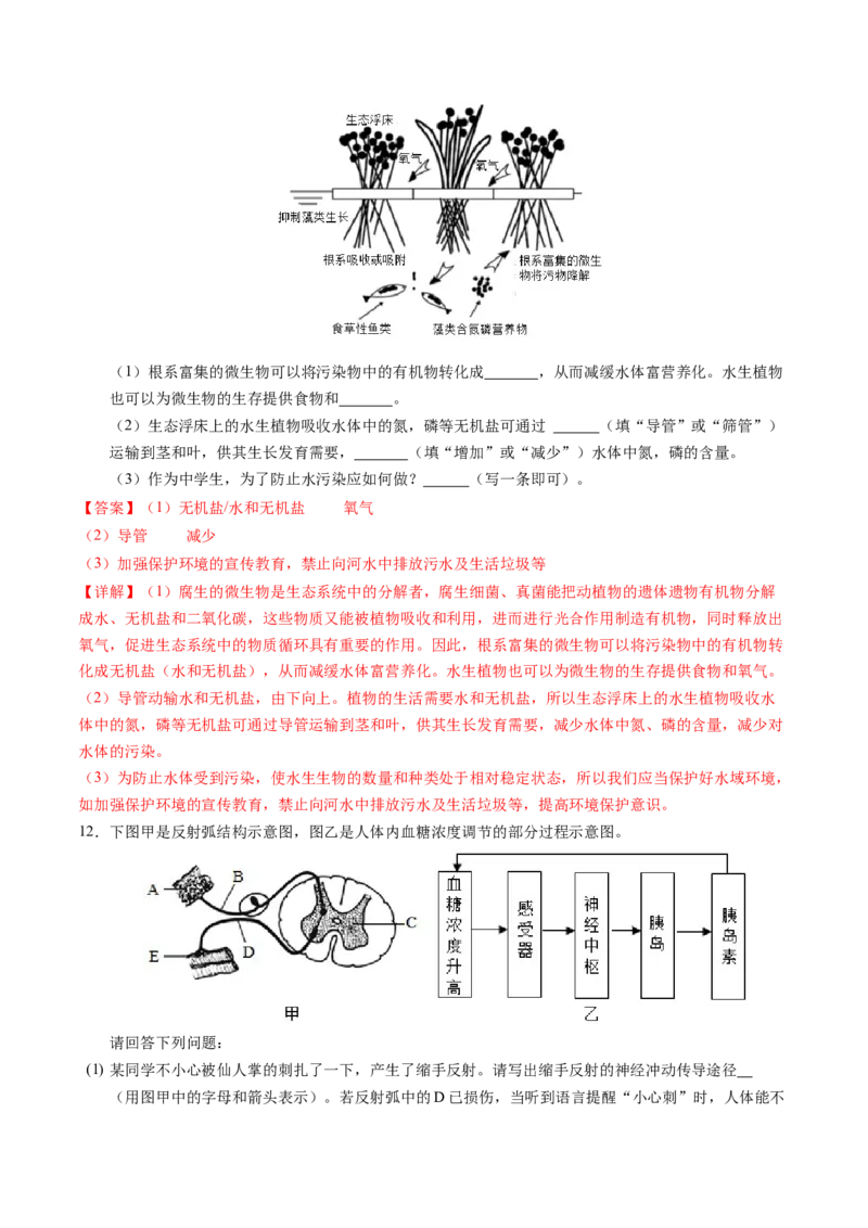 生物（徐州卷）（全解全析）_初中全科电子版试卷练习试题_生物_2024中考模拟题生物(1)_三模（37套）_生物（徐州卷）