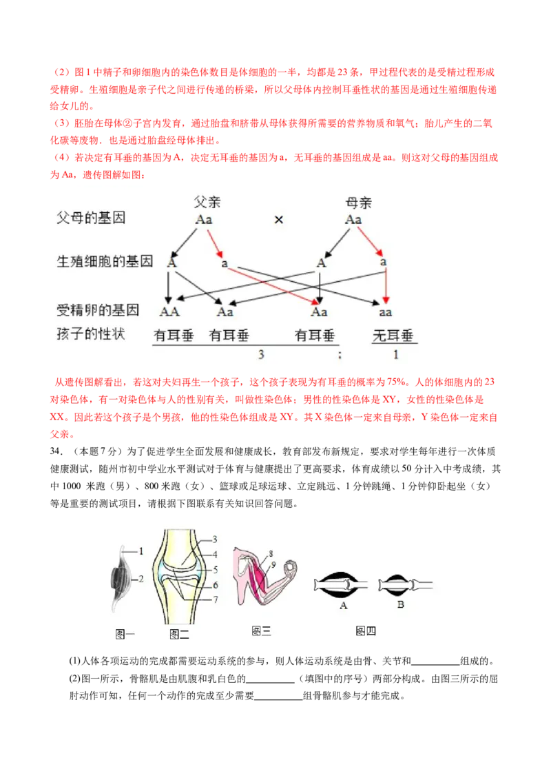 生物（新疆卷）（全解全析）_初中全科电子版试卷练习试题_生物_2024中考模拟题生物(1)_二模_生物（新疆卷）-：2024年中考第二次模拟考试