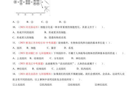 第02单元第02章细胞怎样构成生物体单元测试（A卷劣实基础）（原卷版）_初中全科电子版试卷练习试题_生物_生物人教版7上练习&mdash;24新版已更新_人教生物7年级上单元试卷36份