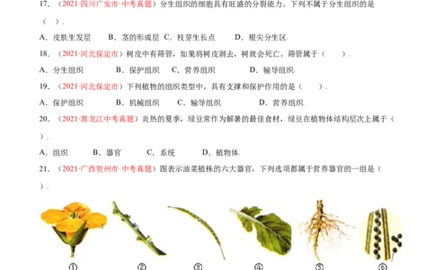 第02单元第02章细胞怎样构成生物体单元测试（A卷劣实基础）（原卷版）_初中全科电子版试卷练习试题_生物_生物人教版7上练习&mdash;24新版已更新_人教生物7年级上单元试卷36份