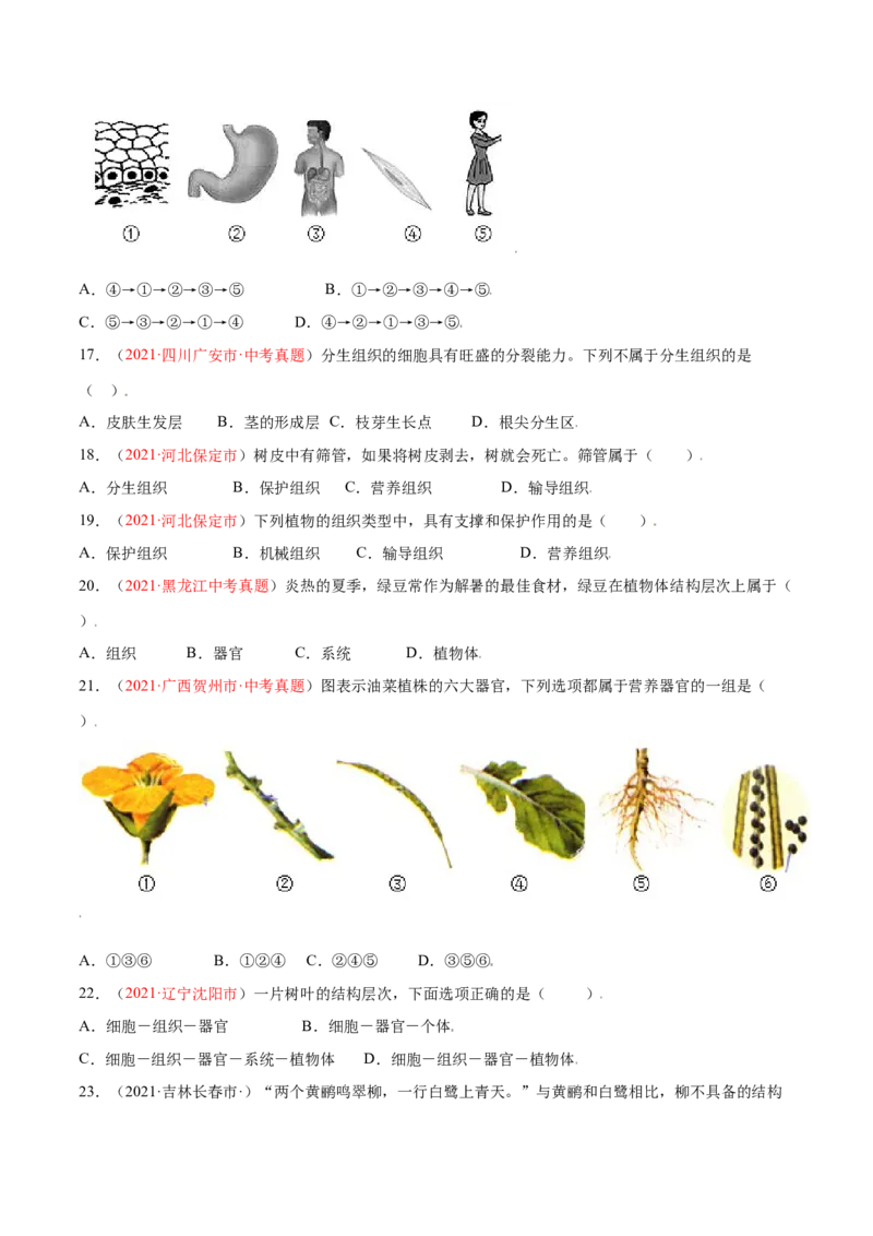 第02单元第02章细胞怎样构成生物体单元测试（A卷劣实基础）（原卷版）_初中全科电子版试卷练习试题_生物_生物人教版7上练习&mdash;24新版已更新_人教生物7年级上单元试卷36份