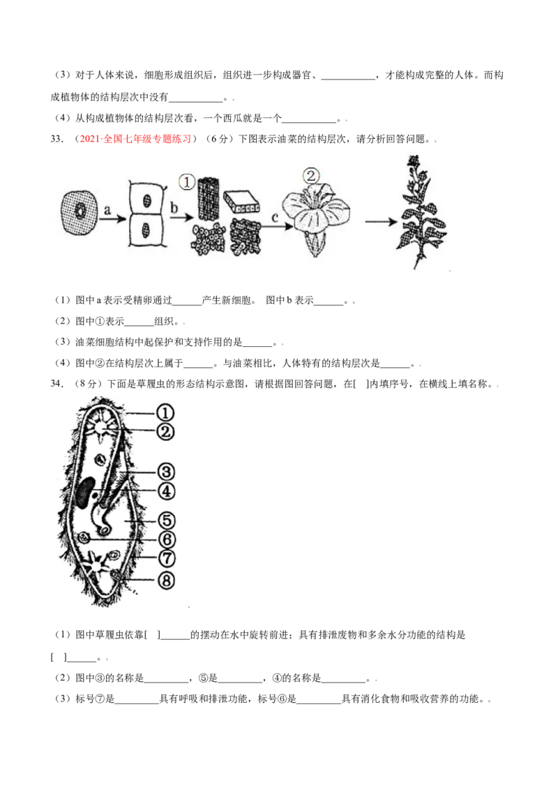 第02单元第02章细胞怎样构成生物体单元测试（A卷劣实基础）（原卷版）_初中全科电子版试卷练习试题_生物_生物人教版7上练习&mdash;24新版已更新_人教生物7年级上单元试卷36份