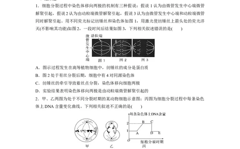二轮专题强化练　训练3　细胞的生命历程_通用版（老高考）复习资料_2023年复习资料_二轮复习_2023年高考生物二轮复习讲义+课件（全国版）_2023年高考生物二轮复习讲义（全国版）_学生版