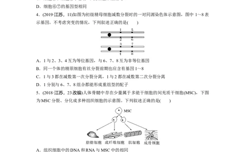 二轮专题强化练　训练3　细胞的生命历程_通用版（老高考）复习资料_2023年复习资料_二轮复习_2023年高考生物二轮复习讲义+课件（全国版）_2023年高考生物二轮复习讲义（全国版）_学生版