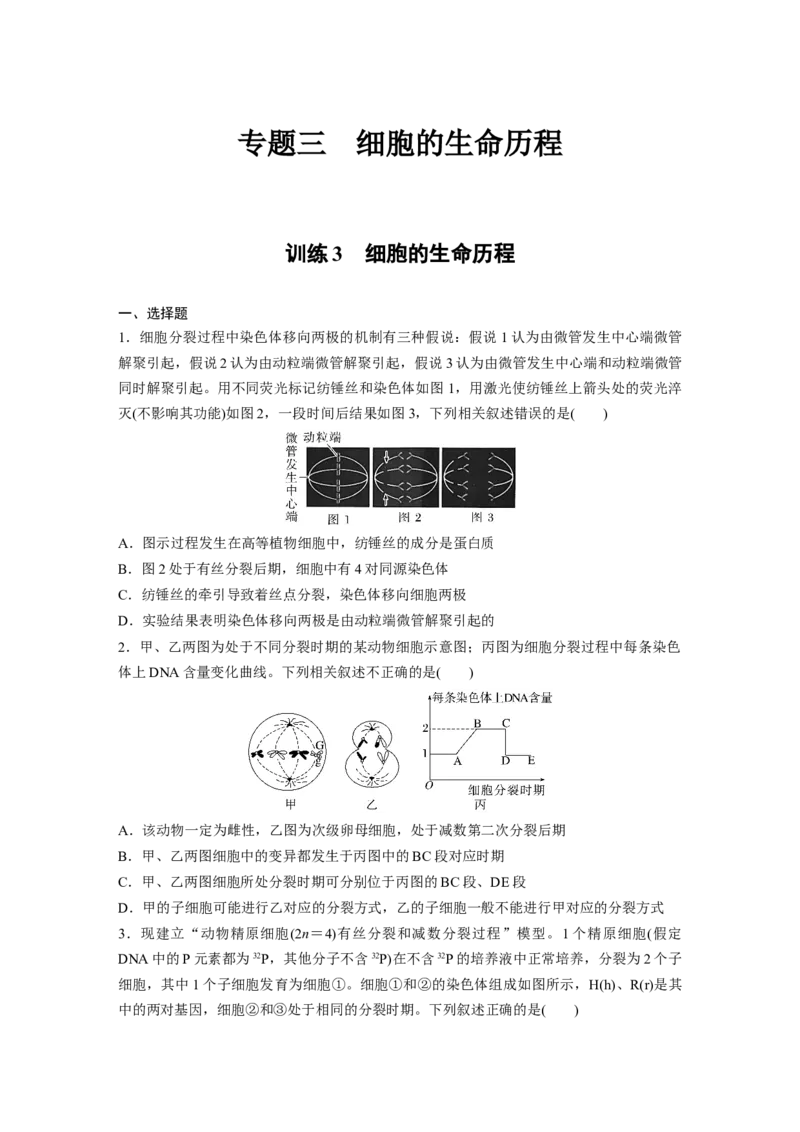 二轮专题强化练　训练3　细胞的生命历程_通用版（老高考）复习资料_2023年复习资料_二轮复习_2023年高考生物二轮复习讲义+课件（全国版）_2023年高考生物二轮复习讲义（全国版）_学生版