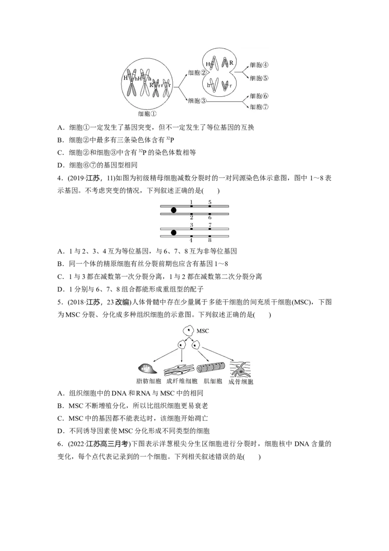 二轮专题强化练　训练3　细胞的生命历程_通用版（老高考）复习资料_2023年复习资料_二轮复习_2023年高考生物二轮复习讲义+课件（全国版）_2023年高考生物二轮复习讲义（全国版）_学生版