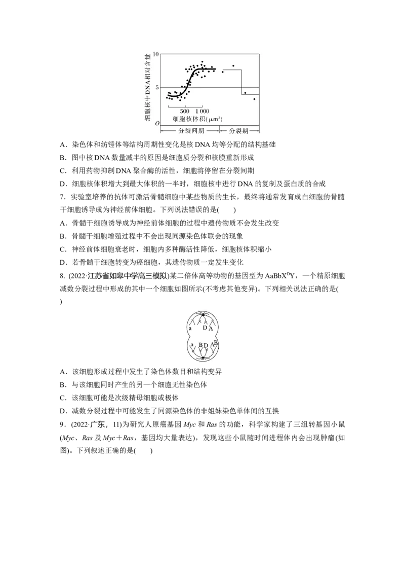 二轮专题强化练　训练3　细胞的生命历程_通用版（老高考）复习资料_2023年复习资料_二轮复习_2023年高考生物二轮复习讲义+课件（全国版）_2023年高考生物二轮复习讲义（全国版）_学生版